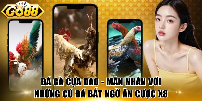 Đá Gà Cựa Dao