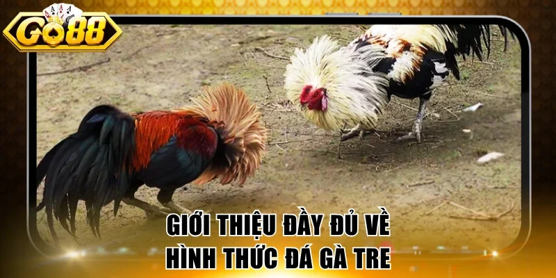 Giới thiệu đầy đủ về hình thức đá gà tre 